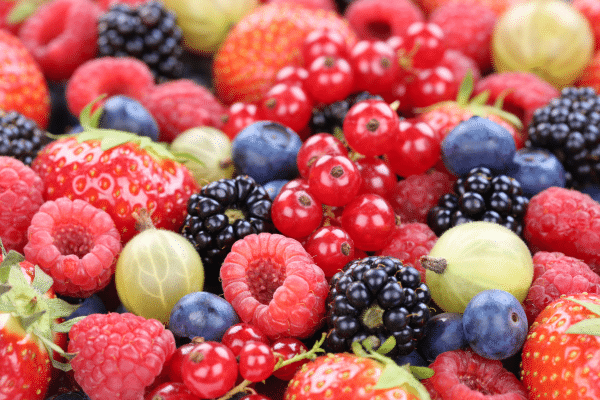 Foods
