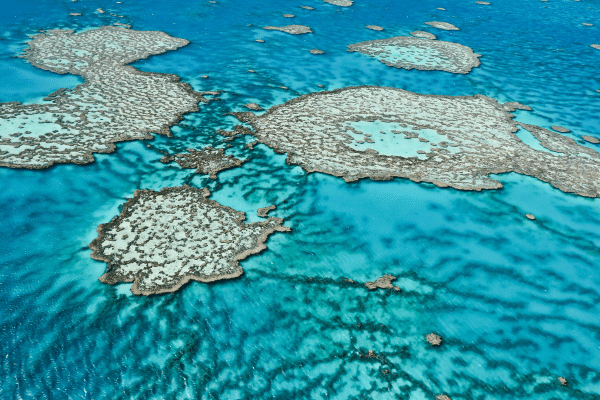 Great Barrier Reef